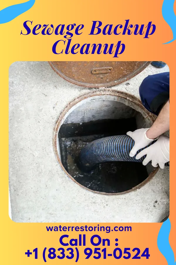 Sewage Backup Cleanup in Carrollton, TX